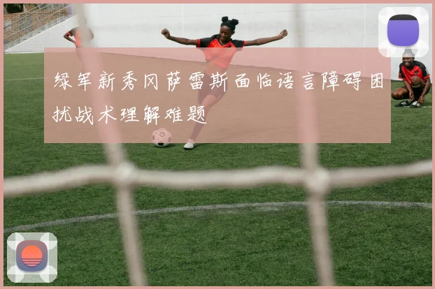 绿军新秀冈萨雷斯面临语言障碍困扰战术理解难题